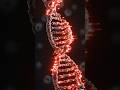 🤯 ప్రతిరోజూ Cancer Cells పుడతాయి... మరి మనకు Cancer ఎందుకు రాదు? 🧬 | Human Body Secret #Shorts