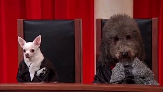 Mathis v. United States: Oral Argument - April 26, 2016