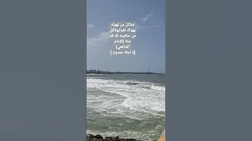 فما كل من تهواه يهواك قلب ه من شعر الإمام الشافعي ذ نجاة ممدوح 