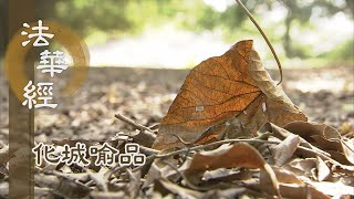 【靜思妙蓮華】法華經化城喻品 - 借有漏果 作無漏因 - 20211028 第1012集