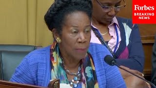 How Did We Mess Up So Badly Sheila Jackson Lee Discusses FISA Abuses