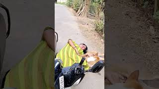 Accident