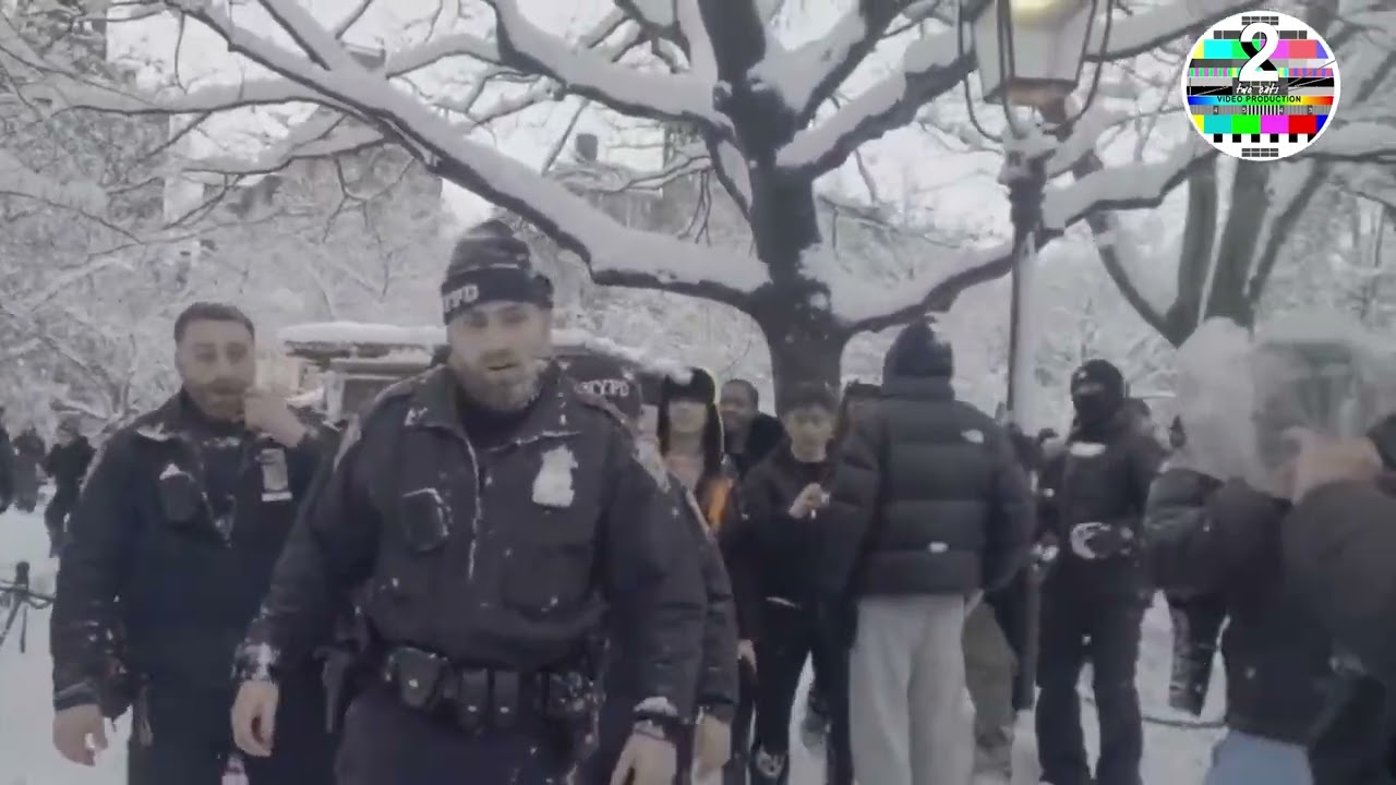 Брэгг и Мамдани поощряют атаки на полицию: снежки с льдом — безнаказанность