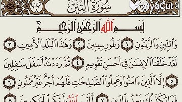 سورة التين بصوت الشيخ (أحمد العجمي)