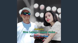 Download Lagu Antara Wee Laingo Umbu Koba (feat. Tina Ngongo) Download Lagu Antara Wee Laingo Umbu Koba (feat. Tina Ngongo)