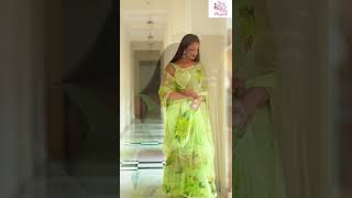 This Dreamy Holly Handpainted Pure Chiffon Saree