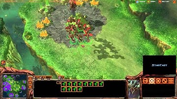 TUTORIAL: Mutalisk Magic Box