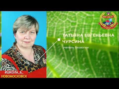 Учитель Бай Интернет Магазин Детский Сад