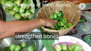 Health Benefits Of Waterapples .Kumari .
