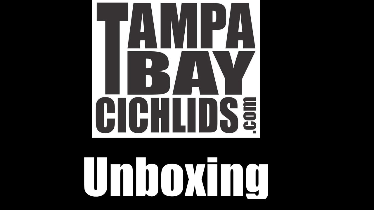 Tampa Bay Cichlids unboxing YouTube