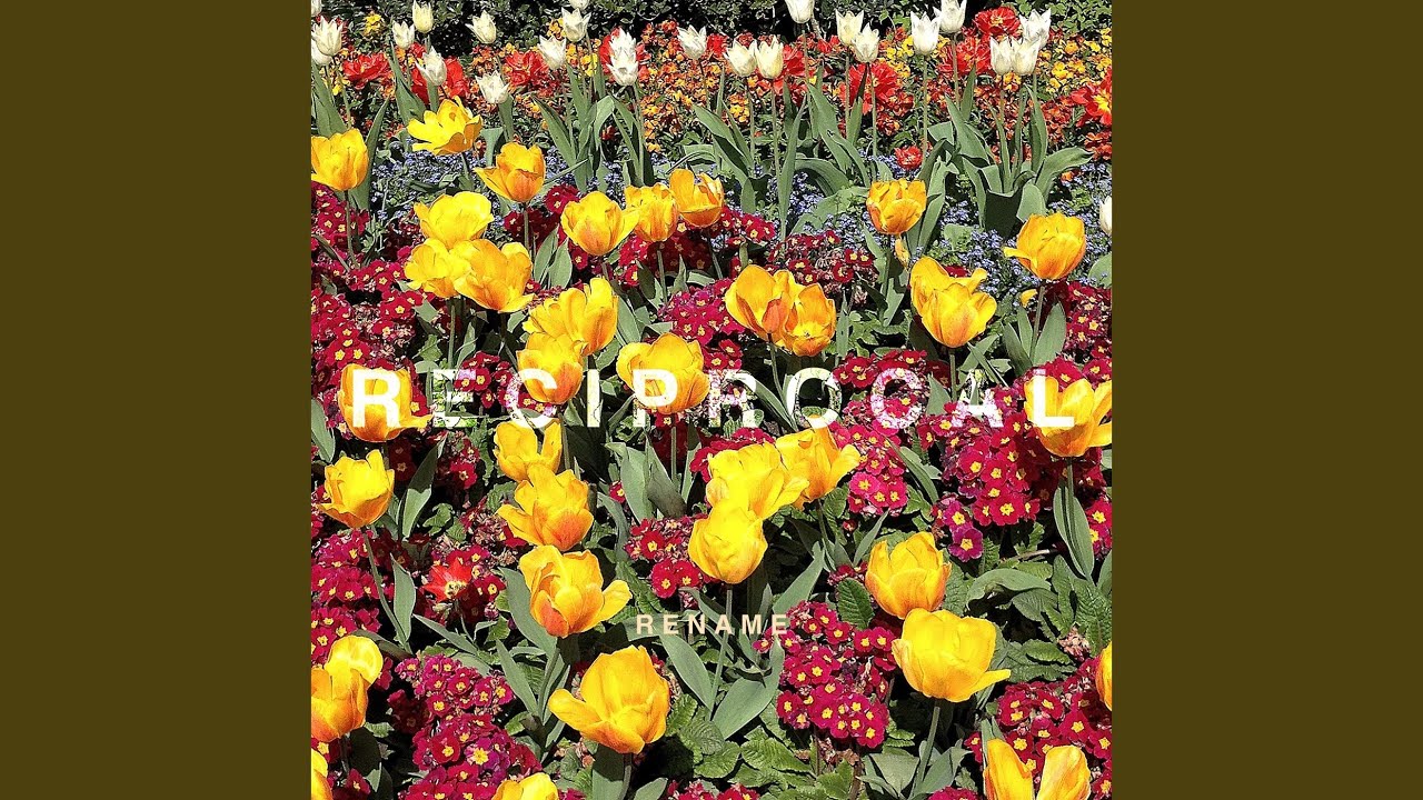 Watch Reciprocal on YouTube Watch Reciprocal on YouTube