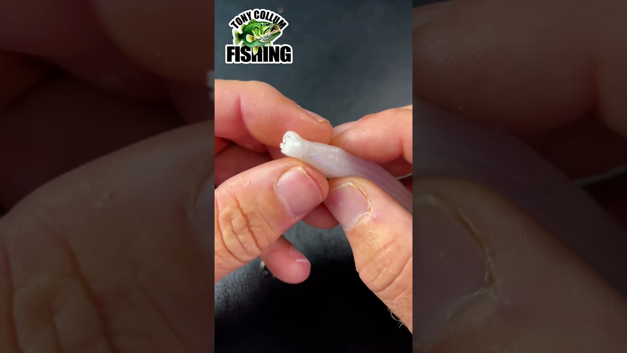 How To Nose Hook A Zoom Super Fluke The Correct Way