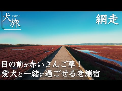 【能取の荘 かがり屋｜北海道網走】目の前は絶景！愛犬と泊まれて部屋も食事もずっと一緒に過ごせる老舗宿で贅沢滞在！