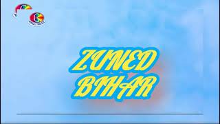 New Song Zuned Rock Bihar masti. dot. in this Like pikchar screenshot 2