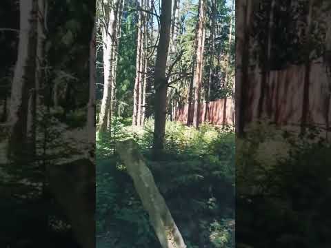 Геодезия