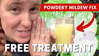 Why Does Whey Destroy Powdery Mildew On Plants? How To Eliminate Powdery Mildew Entirely.