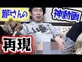 瀬戸弘司さんのあの神動画を再現してみたい！！！【つっちー】