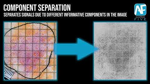 Component Separation: Split Components of an Image in Amped FIVE