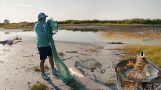 Fishing for Mega Tilapia Near Alligators
