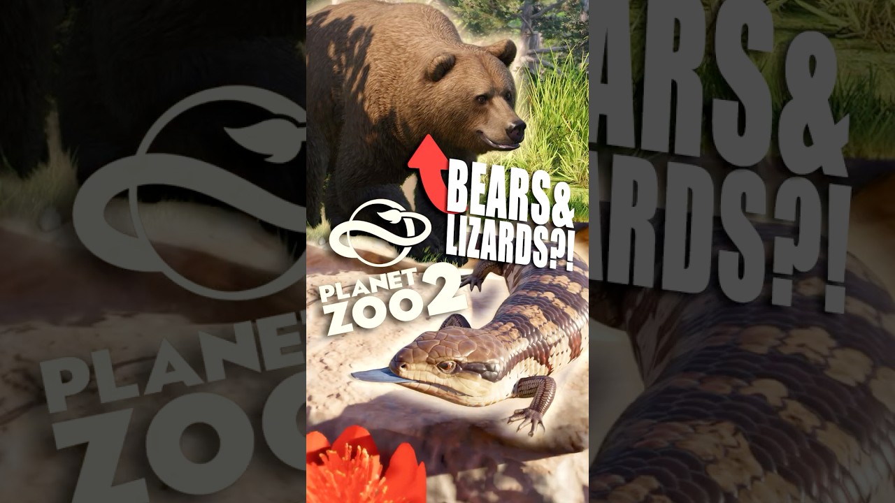 Eurasian Brown Bear & LIZARDS FIRST LOOK in Planet Zoo 2! 🐻🦎 #planetzoo #news #newgame