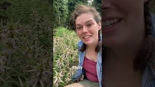 Hi! We’re still here and we won Best of Philly!
