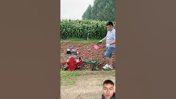 Máy cày mini phù hợp trồng ngô trồng lạc