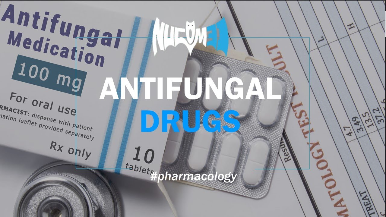 Antifungal drugs Dr. Ahmed YouTube