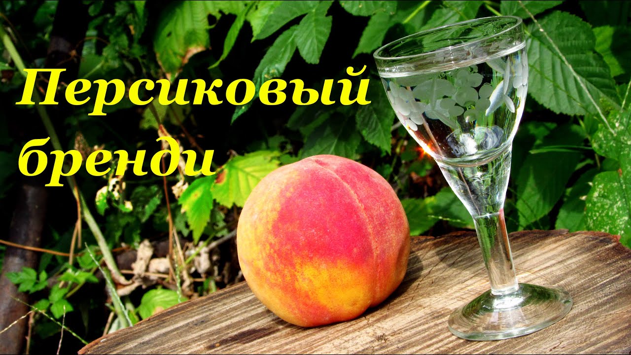 Бренди рецепт в домашних условиях 582