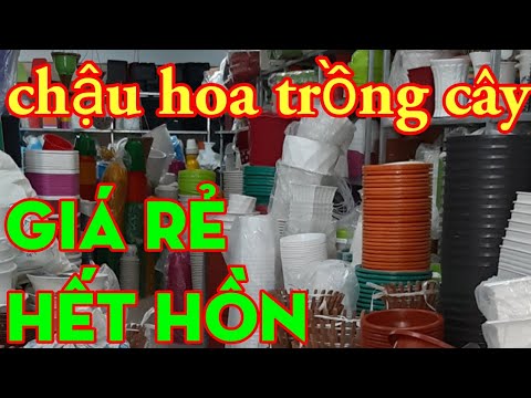 Video xưởng sản xuất chậu cây trồng hoa.Chậu nhựa trồng hoa... - youtube