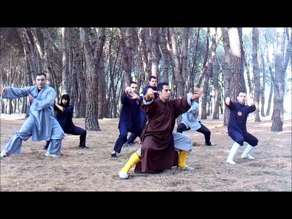 kung fu interno shaolin temple spain
