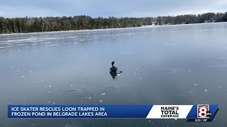 Ice skater rescues loon trapped on frozen pond
