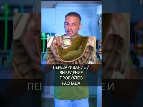 Как ускорить метаболизм и быстро похудеть #диета #пп