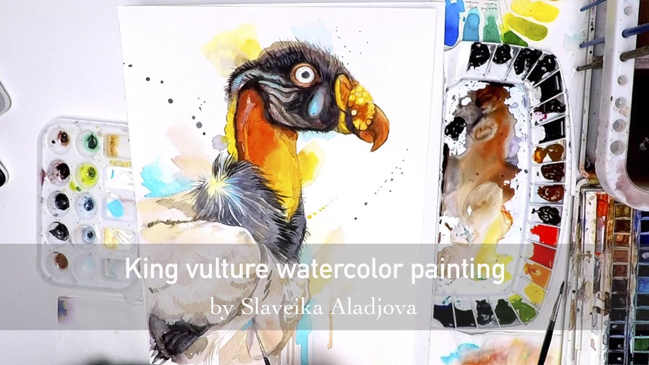 King vulture watercolor painting by Slaveika Aladjova - YouTube