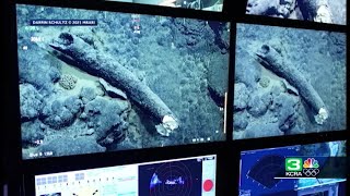 Mammoth tusk found off Central Coast