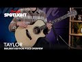 Taylor Builder's Edition 912CE - Overview