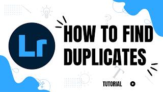 How to find duplicates in Lightroom Classic