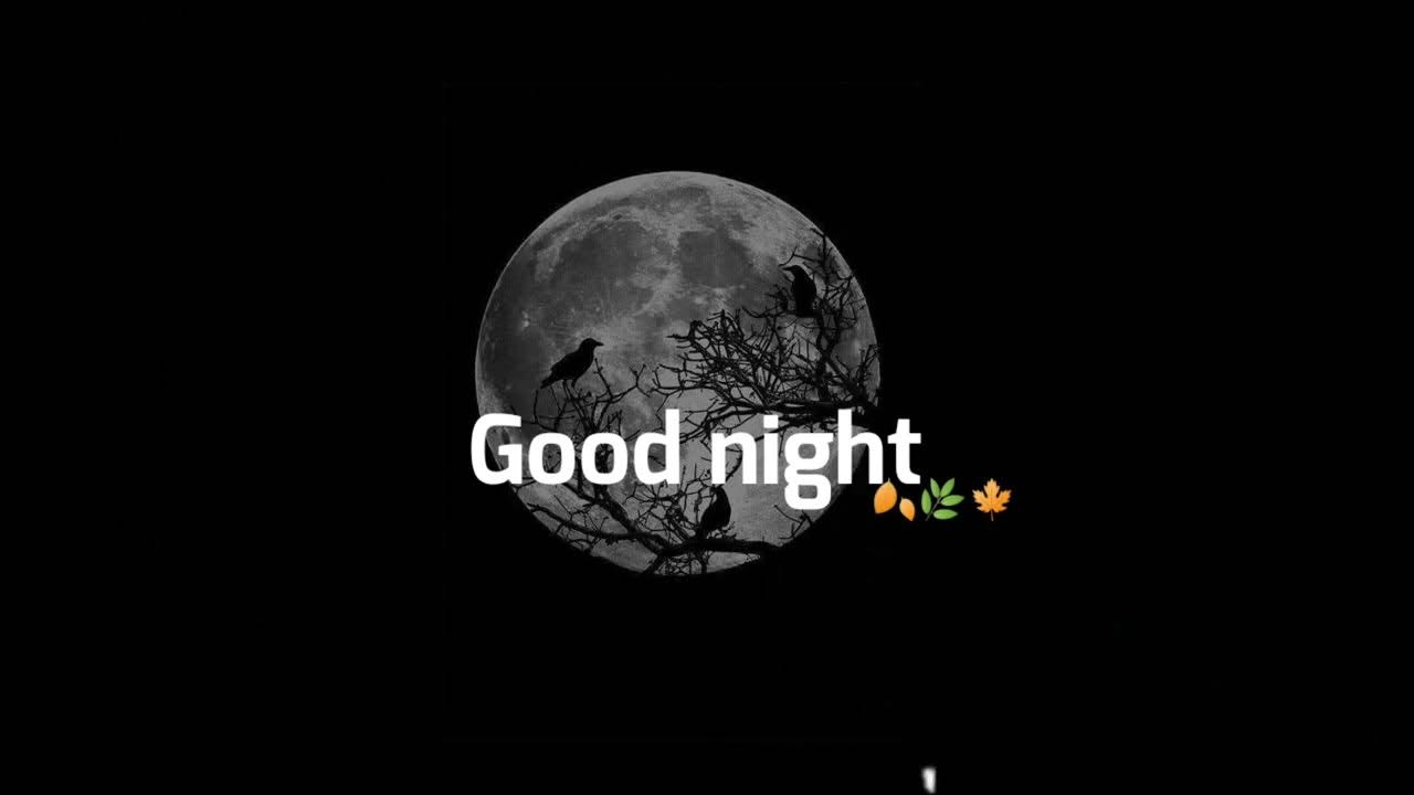 Good Night Status Whatsaap Status 2022 LoveSong Whatsapp Status DJ