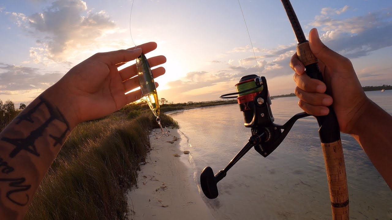 TOPWATER Fishing Florida SALTWATER Flats