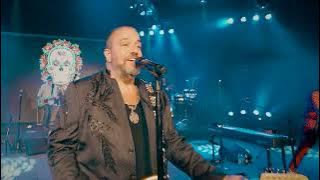 All You Ever Do Is Bring Me Down // Live From The #EnEspanol Tour