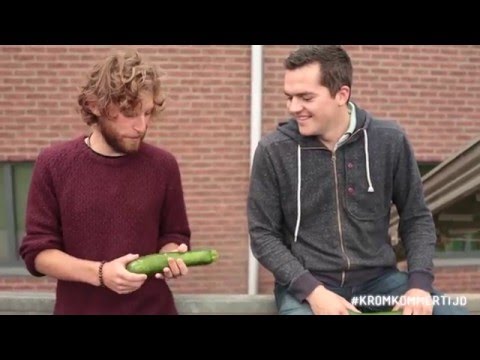 Teler – het leven van een (gekke) courgette: van zaadje tot…. afvalbak? #kromkommertijd