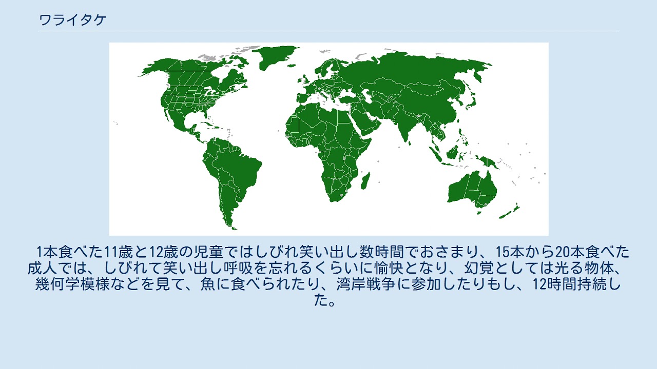 ワライタケ Youtube