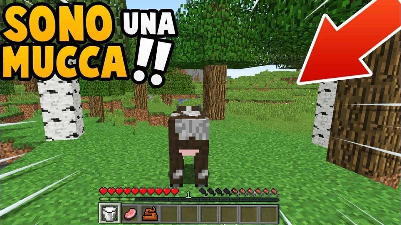 Come Trasformarsi In Animali Su Minecraft