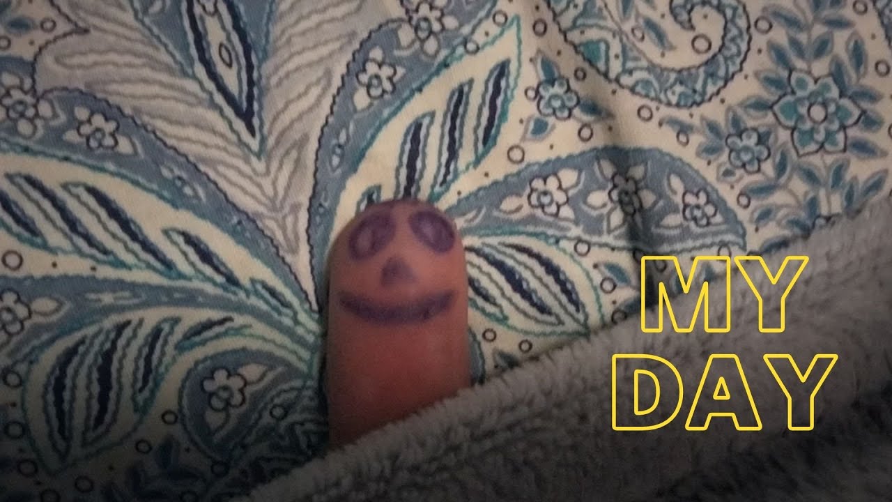 ОБЫЧНЫЙ ДЕНЬ БЛОГЕРА. FINGER YOUTUBE BLOGGER It's my life, My First Video