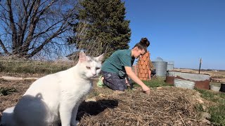 Full Garden Weeding and Planting- With my Garden Buddy