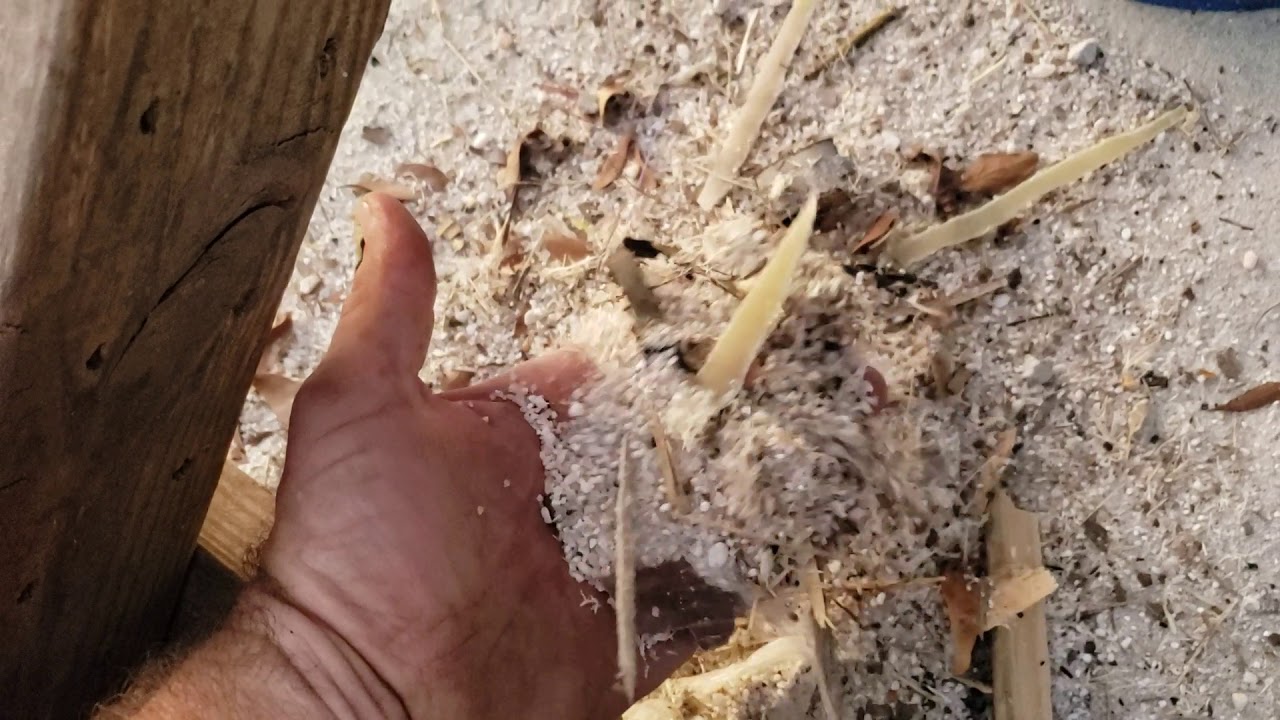 sandblast media quick sifter