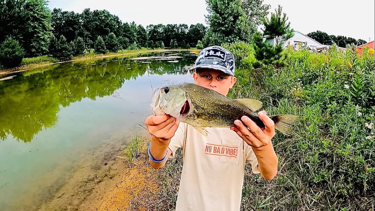 Bass Fishing $40 Challenge