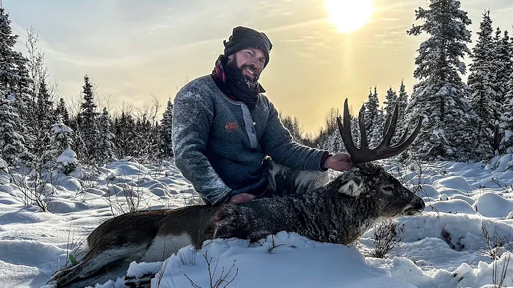 Big Northern Canada Bush Buck (2024 Alberta Whitetail Hunting)