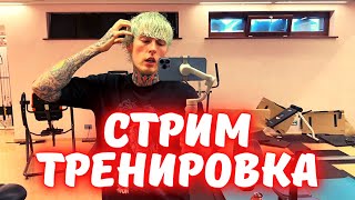 Дима Евтушенко стрим / Тренируется и разговаривает со зрителями / Evtushenko_dima