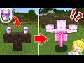 【マイクラ】世界中の人が裏切られた海外の何かがおかしいマインクラフトまとめ【一気見・総集編】【まいくら・マインクラフト】