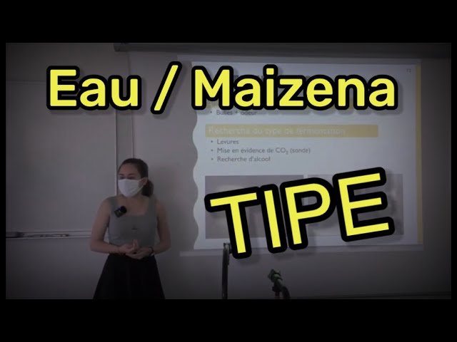 TIPE #1 : Eau / amidon de maïs, un mélange prometteur ? Par Alexandra Ghiani